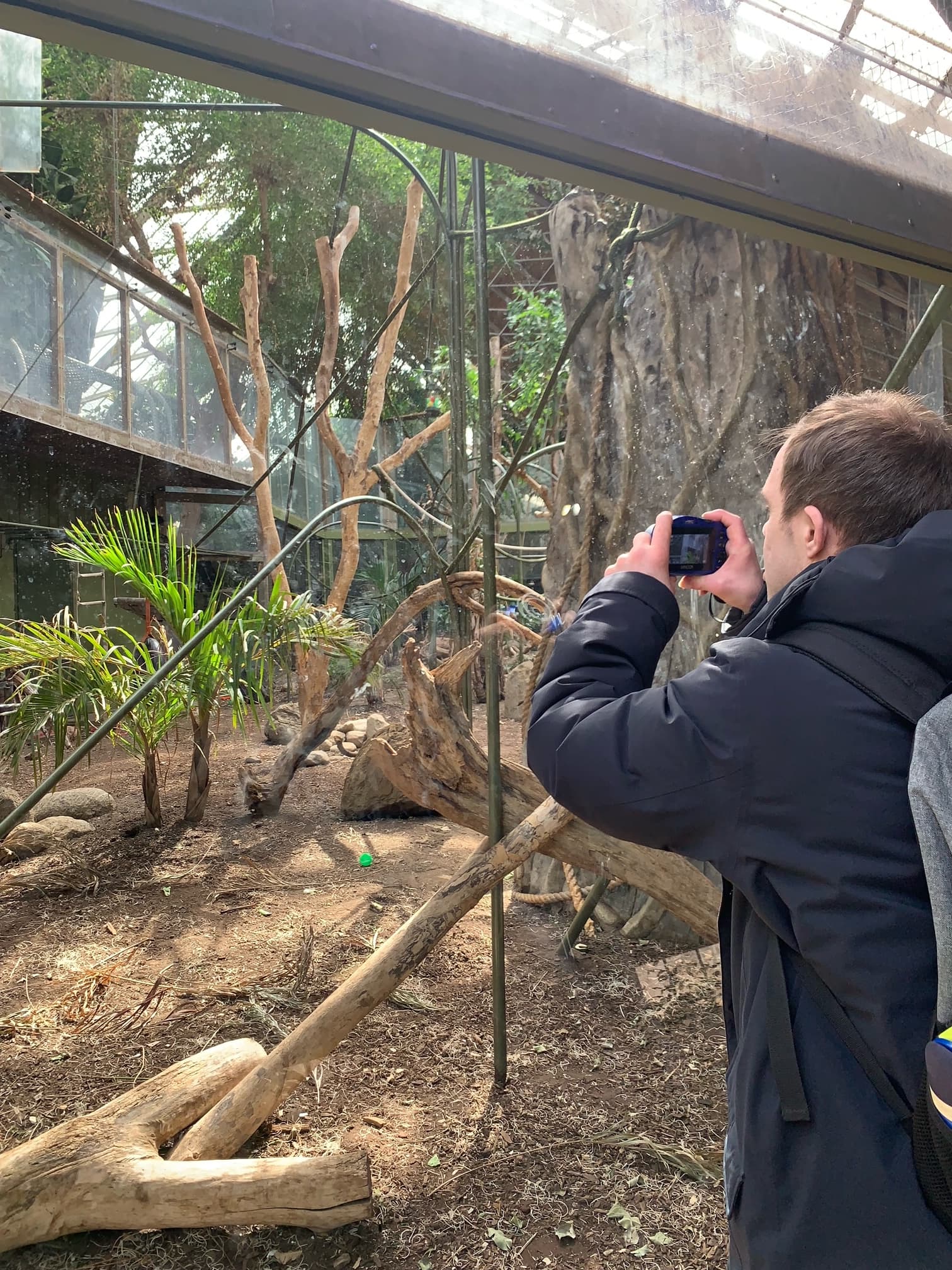 A Catching Stars participant observing an animal habitat during a supported adult community outing.